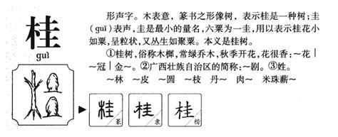 桂意思|桂的意思